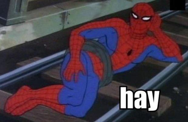 funny-spiderman-meme-pictures-1.jpeg