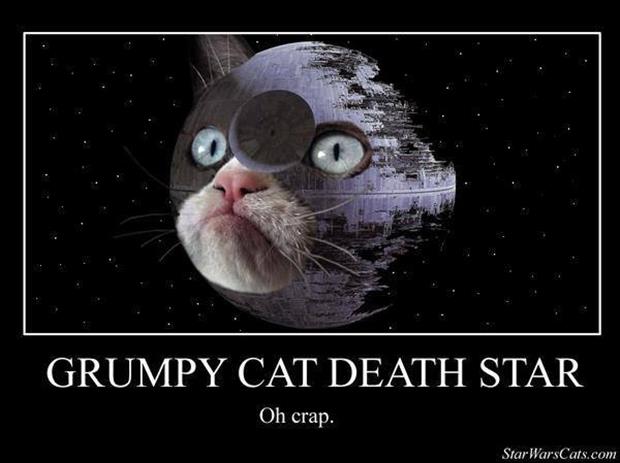 grump cat star wars