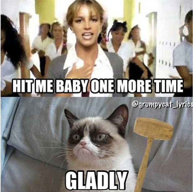 35 of the Funniest Grumpy Cat Memes Ever Created