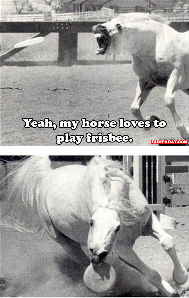 my horse likes to play frisbee your agrument is invalid