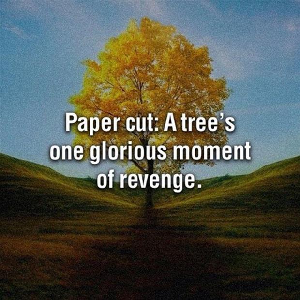 paper cut a trees revenge