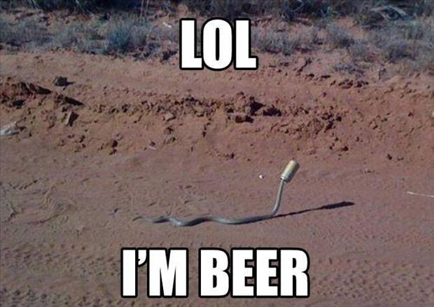 snake in beer can