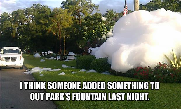 I'm guessing someone added something to our park's fountain last night