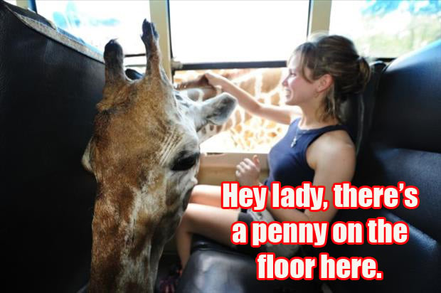 Oh look a penny giraffe