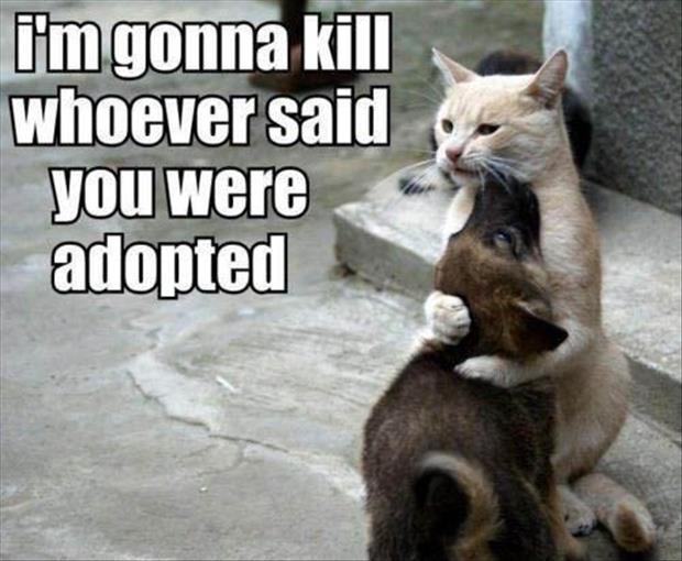 a I'm going to kill whoever said you were adopted