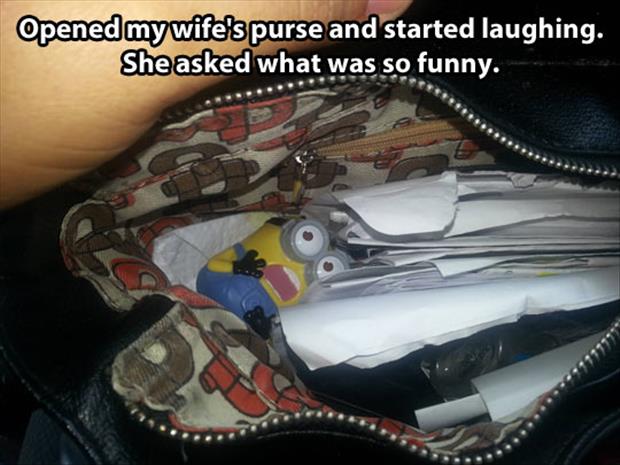 a inside a woman's purse funny pictures