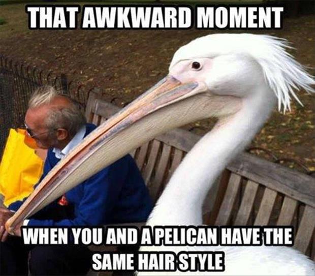 awkward moments