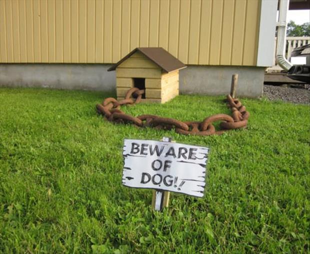 beware of dog