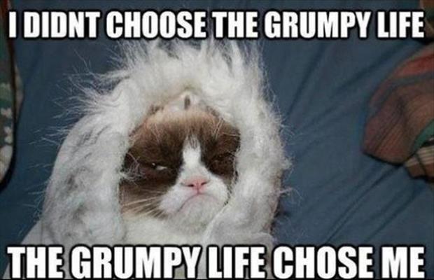 funny grumpy-life