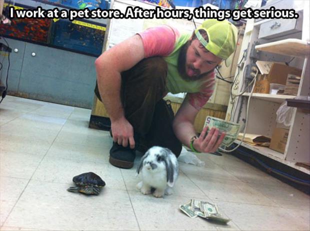 funny pets