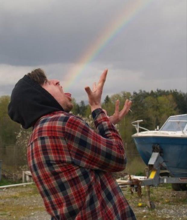 funny pictures of rainbows and guys, dumpaday (9)