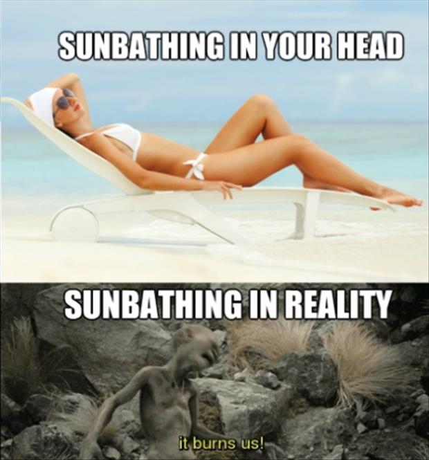 funny sun bathing