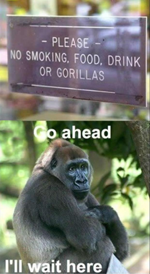 funny zoo signs