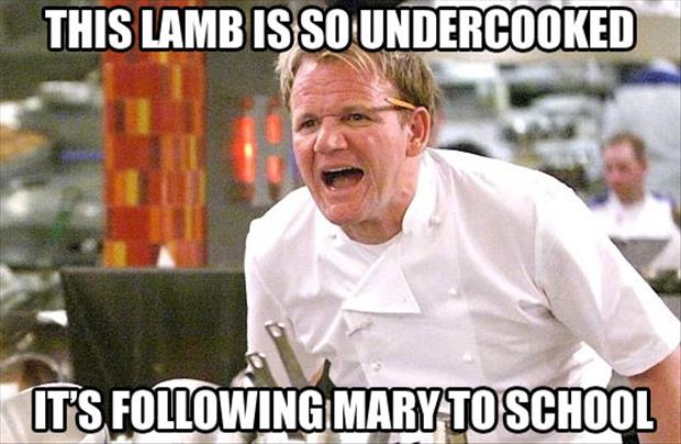 gordon ramsay meme lamb is not cooked  Dump A Day