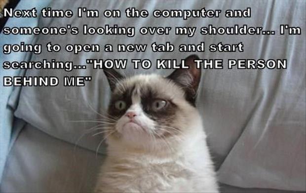 grumpy cat funny