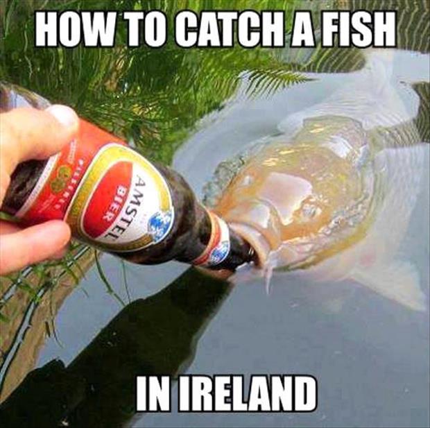 how to catch a fish in ireland