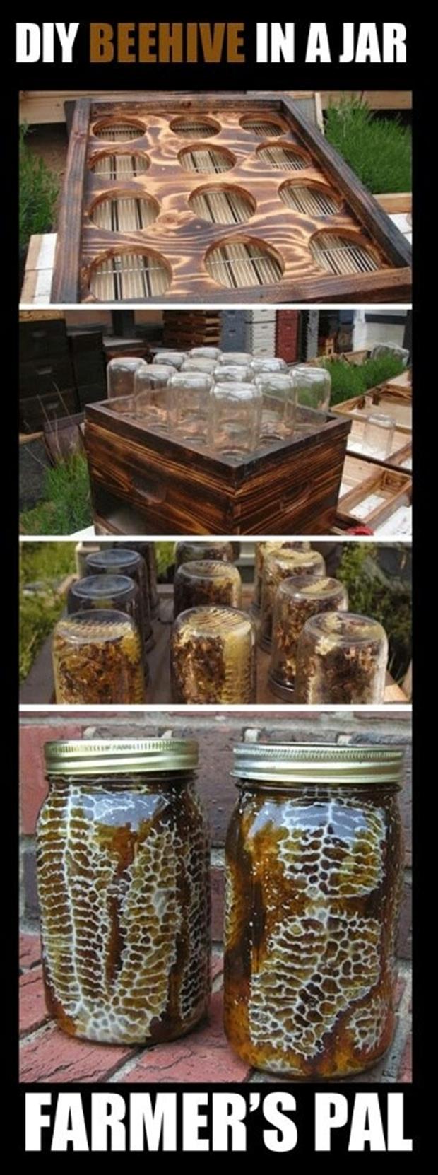 how to make a bee hive in mason jars