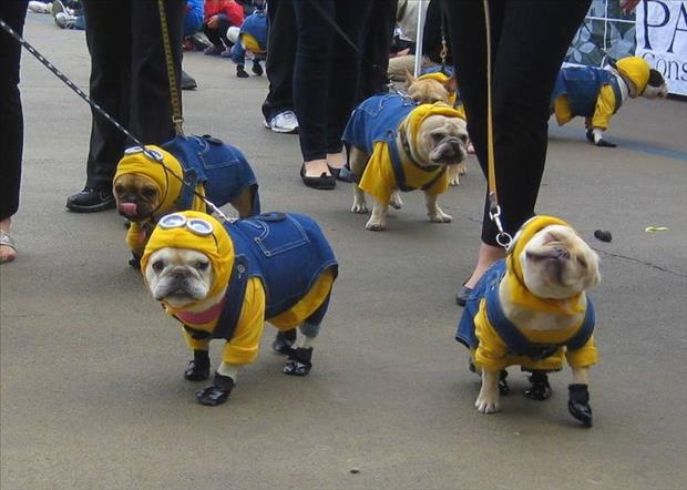 minions