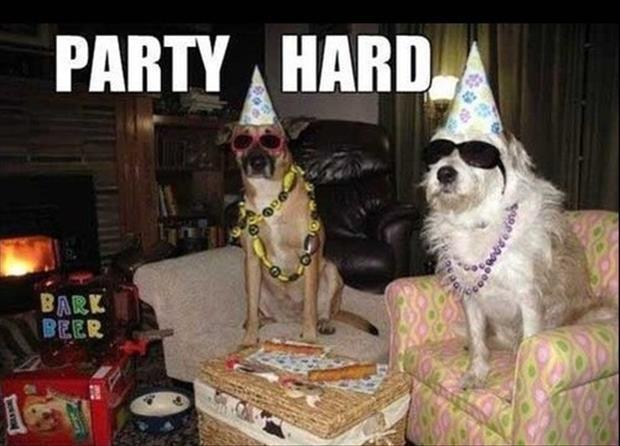 party-hard