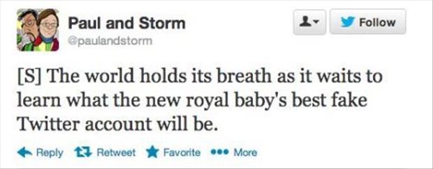 twitter quotes about the royal baby prince, dumpaday (18)