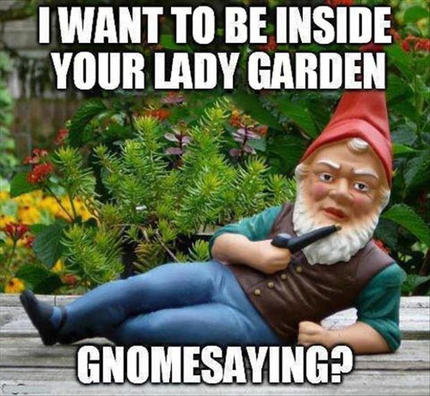 I want to be inside your lady garden