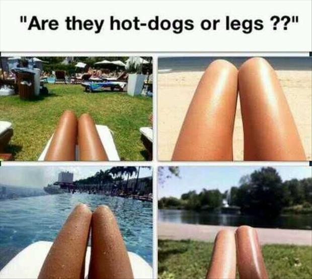 are they hot dogs or legs