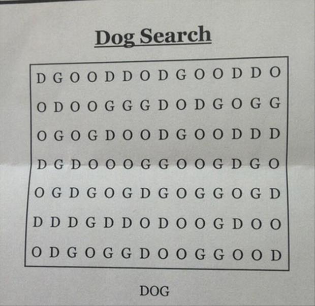 dog search