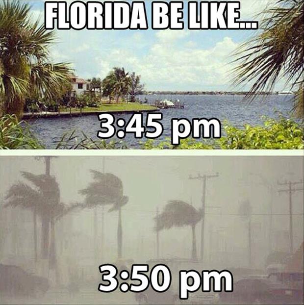 florida funny