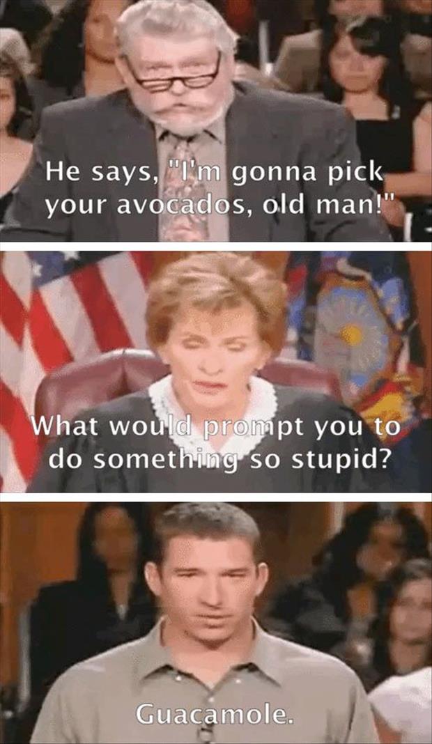 funny judge judy