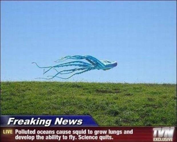funny news captions squids