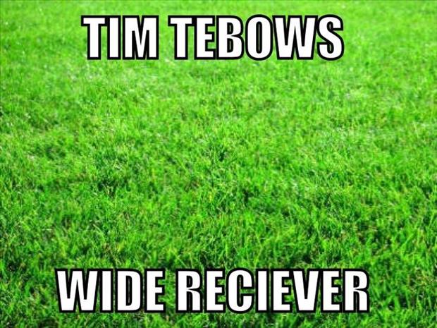 funny nfl pictures (2)