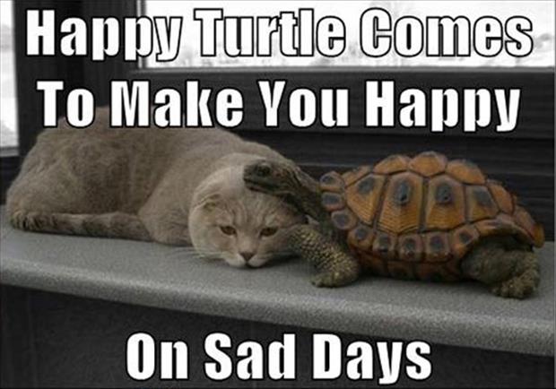 happy turtle