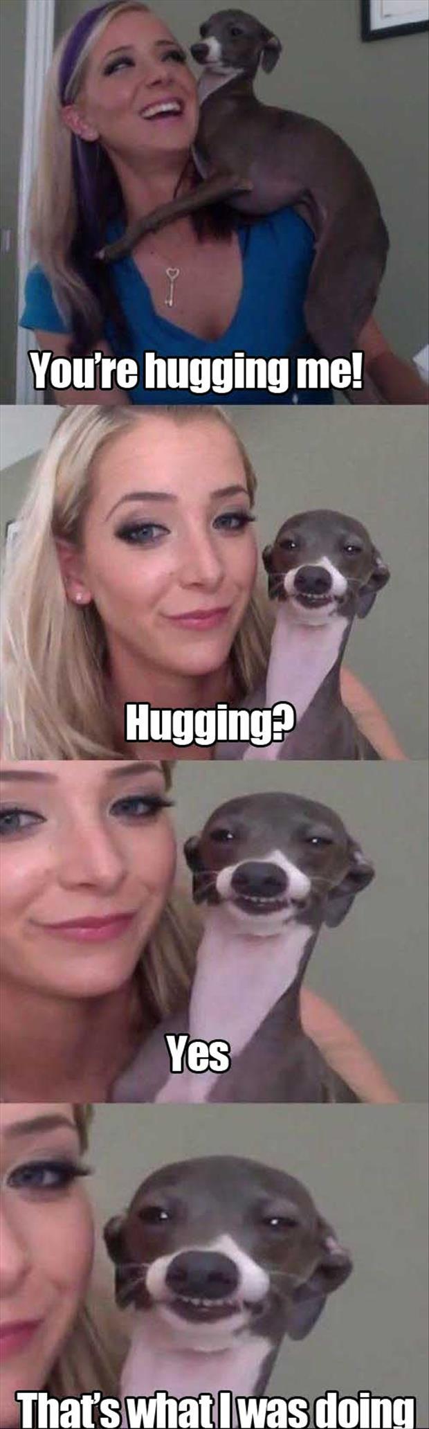 hugging dog