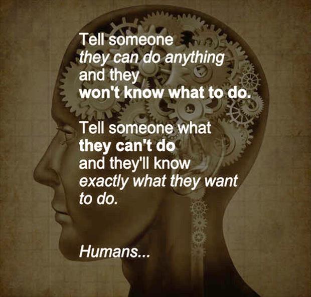 humans