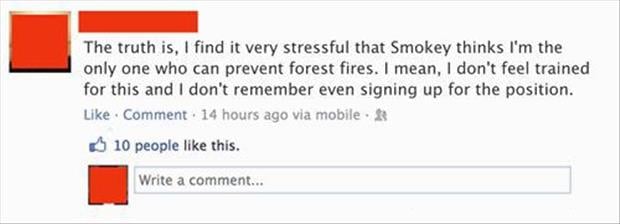 only you can prevent forrest fires