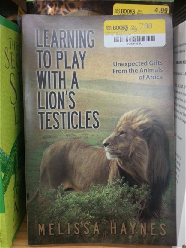 play with a lions testicles