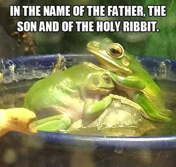 religious frogs