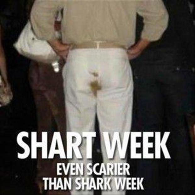 shark week funny pictures