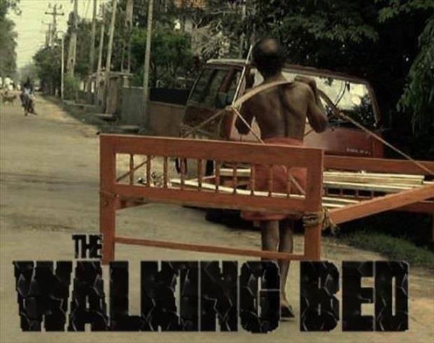 the walking dead