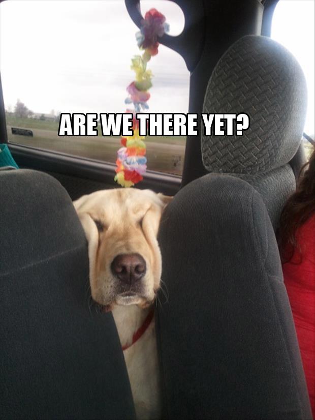 are we there yet