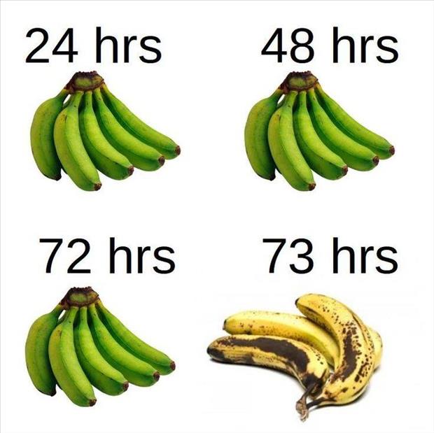 bananas