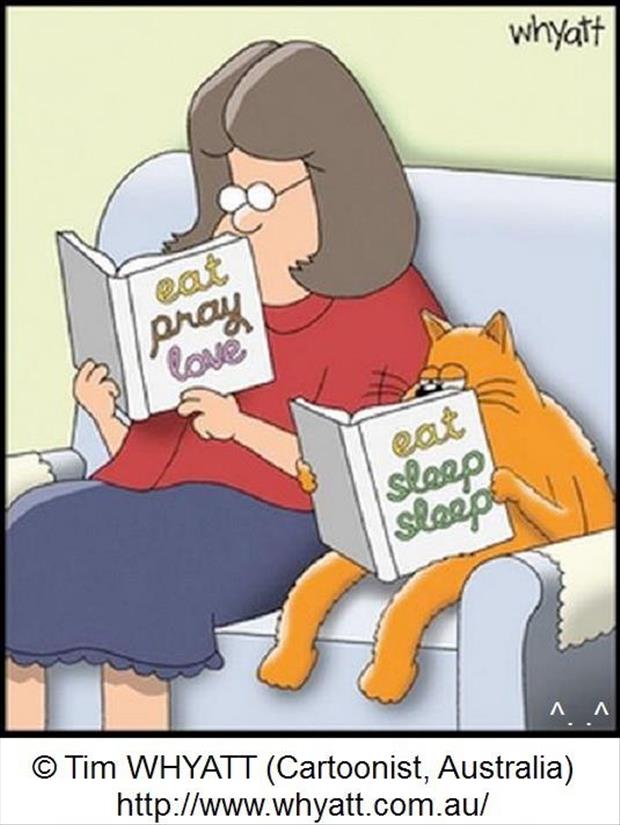 cat books