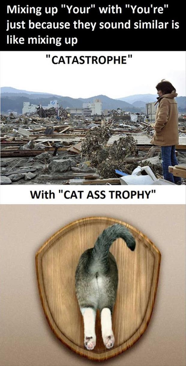 cat trophy