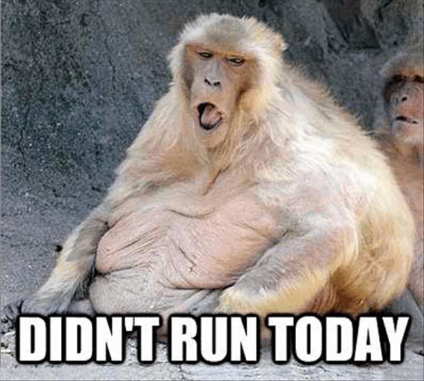 didn't run today