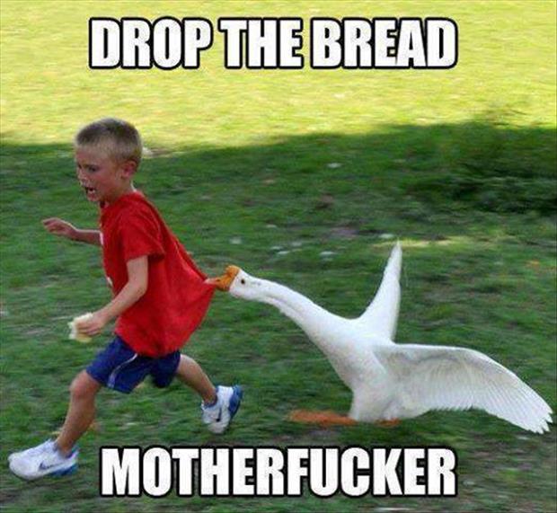 drop the bread