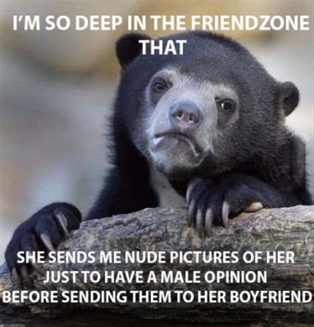 friend zone (17)