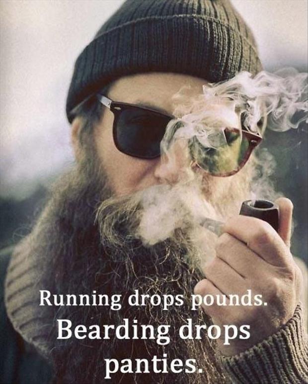 funny beards