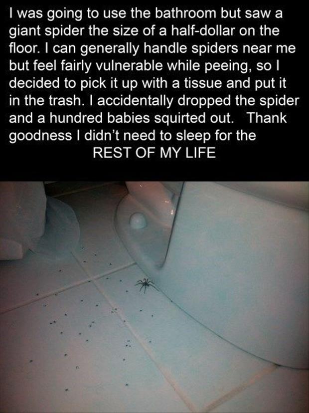 giant spiders