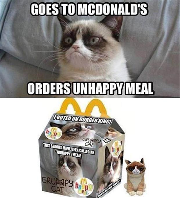 grumpy cat unhappy meal