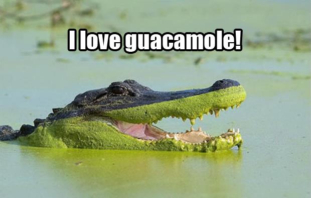 guacamole